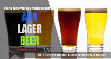 Draught vs Lager Beer: What's the Real Difference?