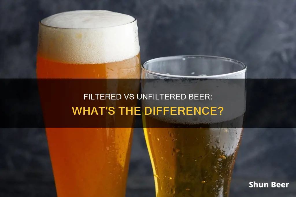 what is the difference between filtered and unfiltered beer