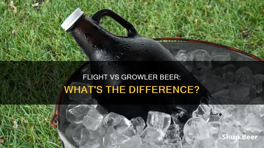 what is the difference between flight and growler beer