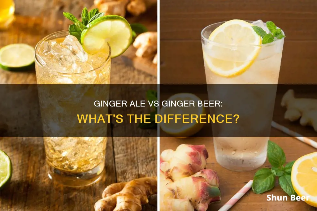 what is the difference between gingerale and gunger beer