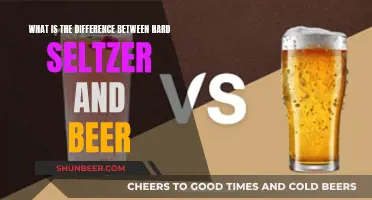 Hard Seltzer vs Beer: What's the Difference?