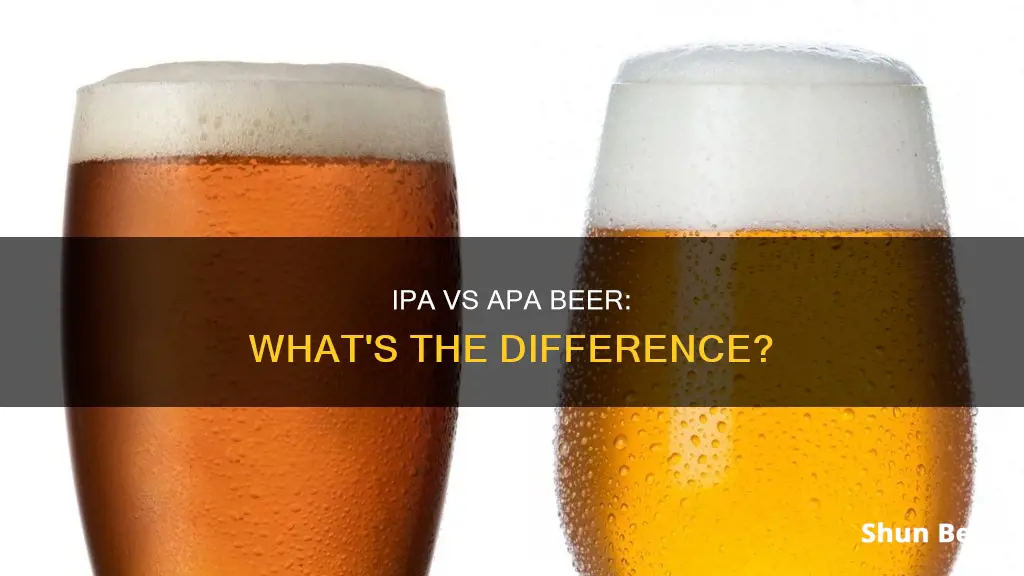 what is the difference between ipa and apa beer