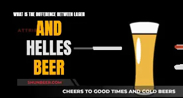 Explore Lager and Helles Beer: Styles, Taste, and Origins