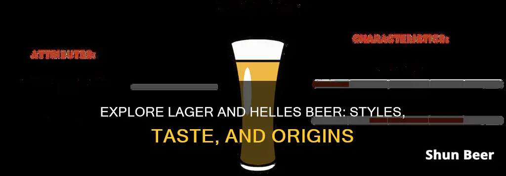 what is the difference between lager and helles beer