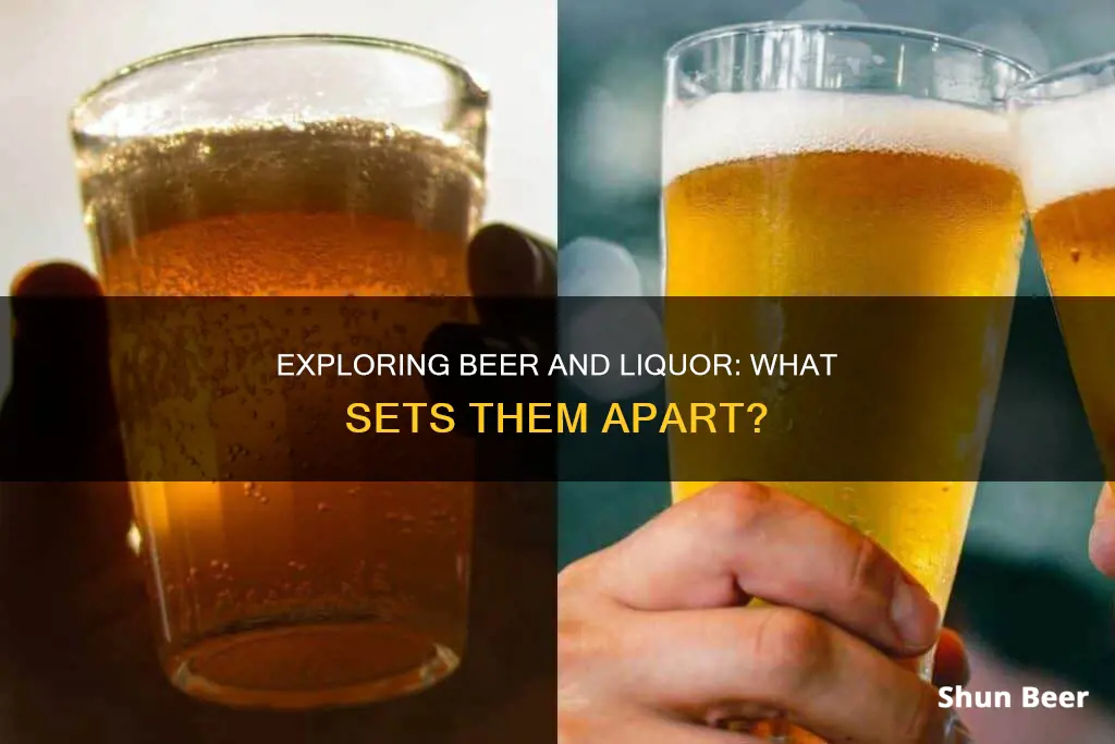 what is the difference between liquour and beer