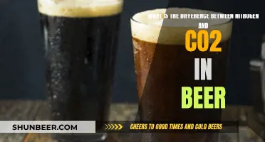 Beer Gas: Nitrogen vs. CO2