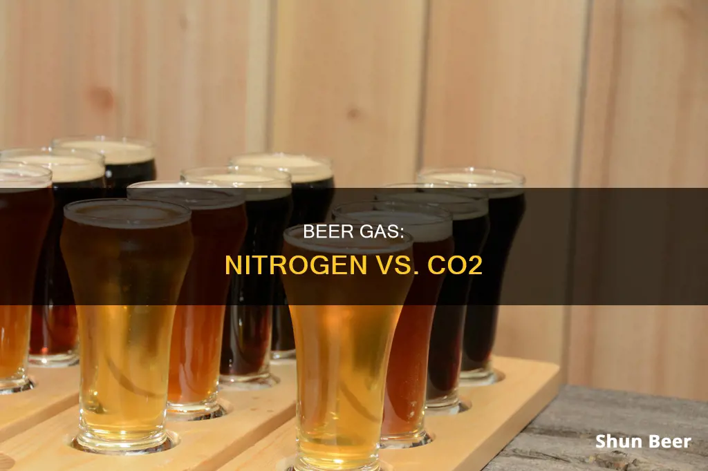 what is the difference between nitrogen and co2 in beer