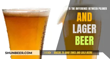 Pilsner vs Lager Beer: What's the Difference?