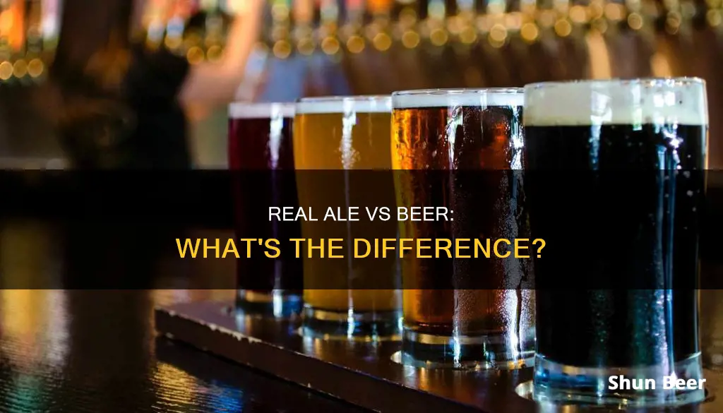 what is the difference between real ale and beer