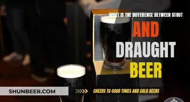 Stout vs Draught Beer: What's the Difference?