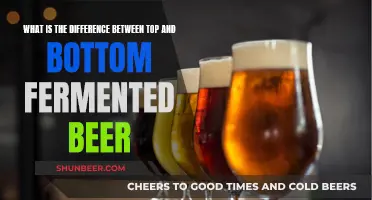 Unraveling the Mystery: Top vs. Bottom-Fermented Beer Styles