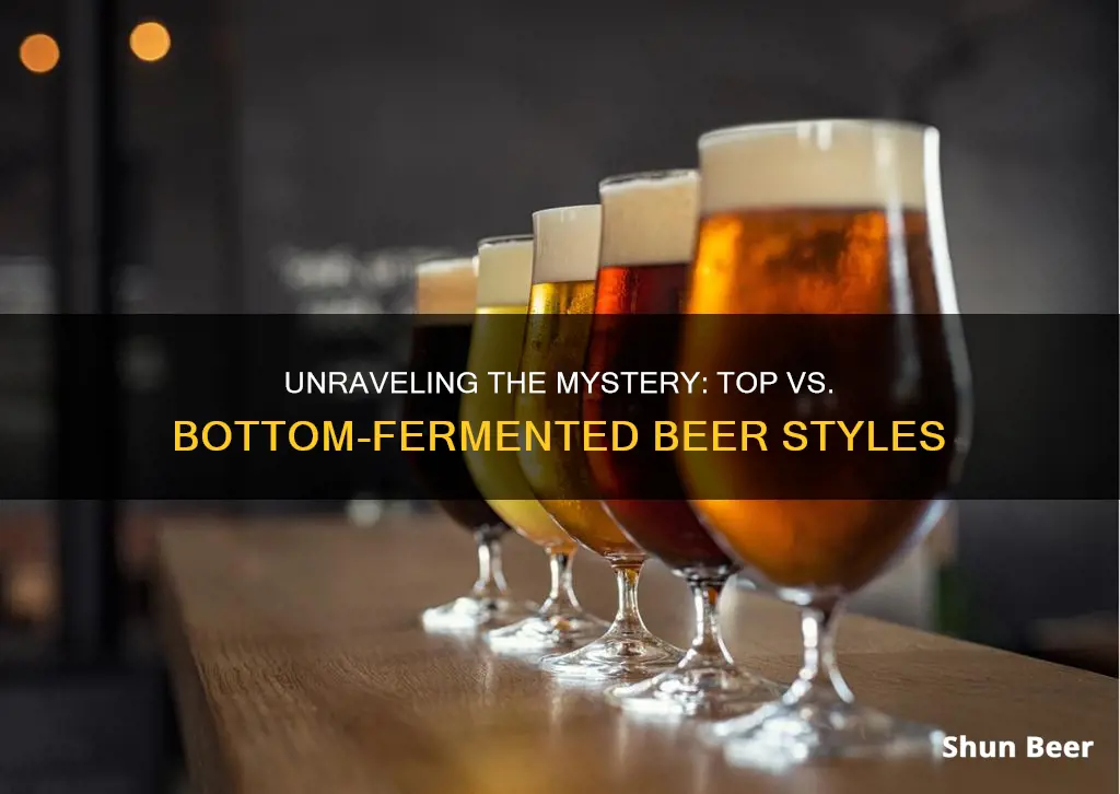 what is the difference between top and bottom fermented beer