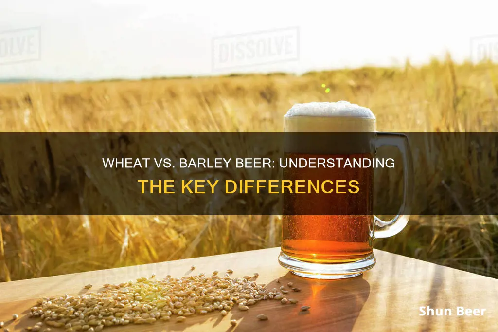 what is the difference between wheat and barley beer