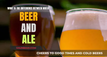 Wheat Beer vs Ale: What's the Difference?