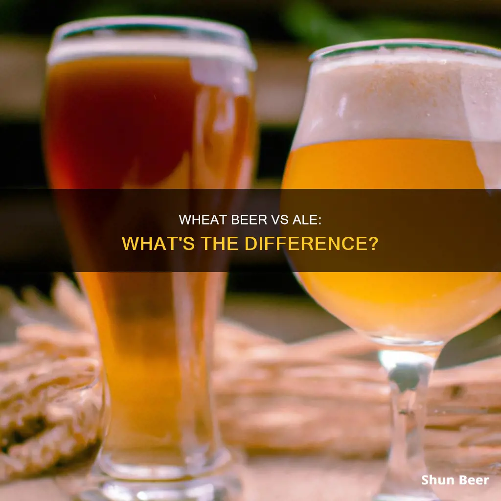 what is the difference between wheat beer and ale