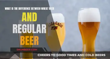 Wheat Beer vs Regular Beer: What's the Difference?