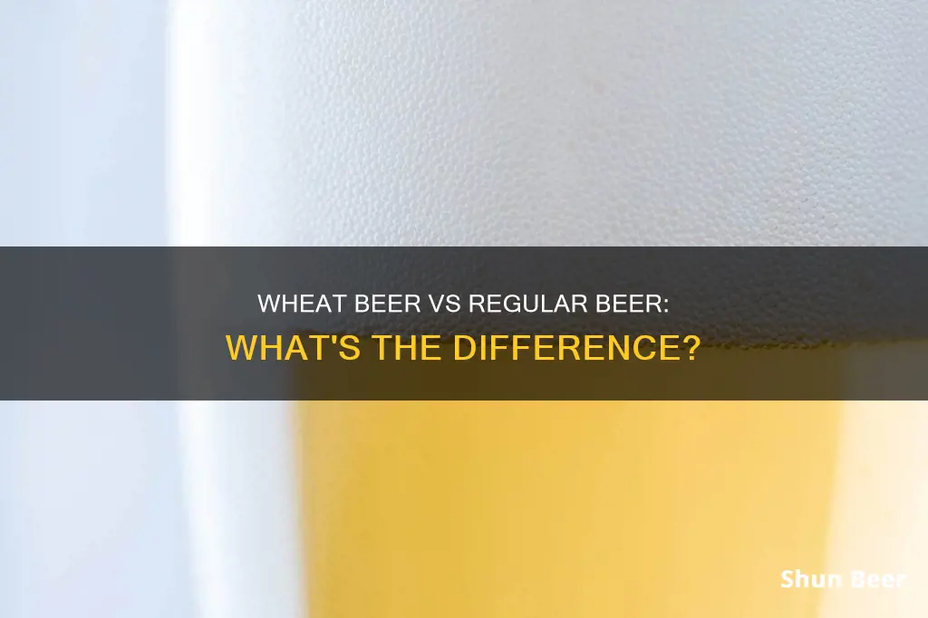 what is the difference between wheat beer and regular beer