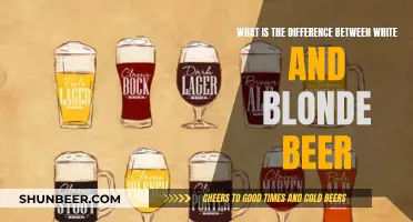 Blonde vs. White Beer: Understanding the Key Differences