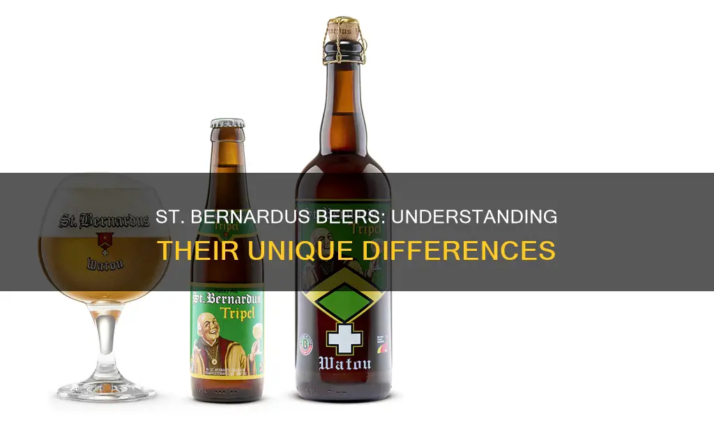 what is the difference in the st bernardus beers