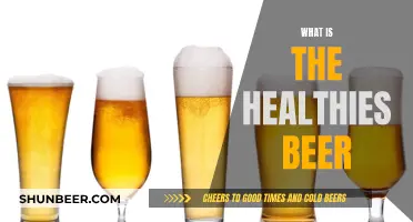 The Healthiest Beer Options for Your Next Drink