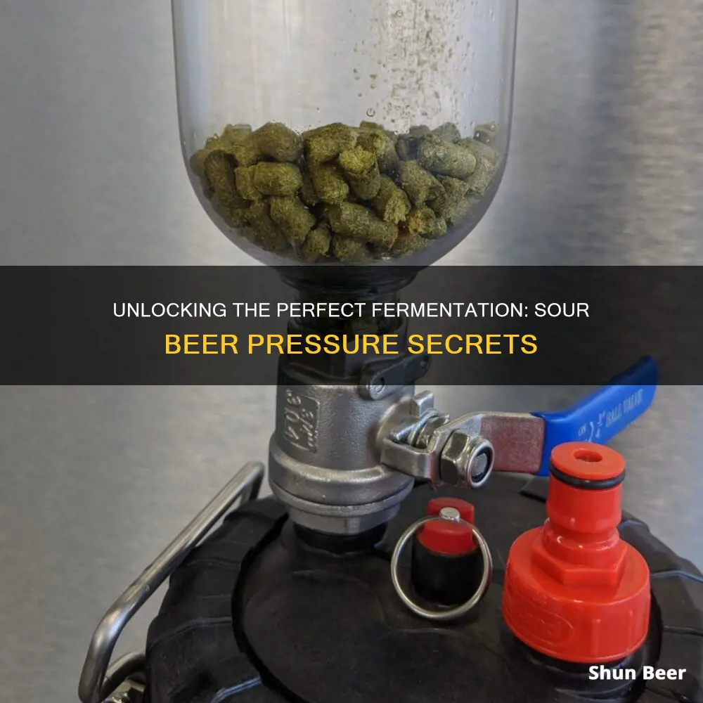 what is the ideal pressure for fermenting a sour beer