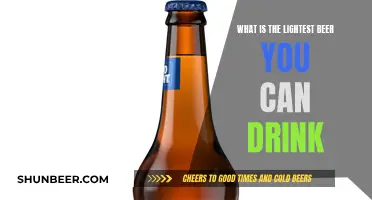 Lightest Beer Options: What Are the Best Low-Calorie Brews?