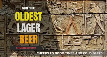 Uncovering the Ancient Roots: The World's Oldest Lager Beer