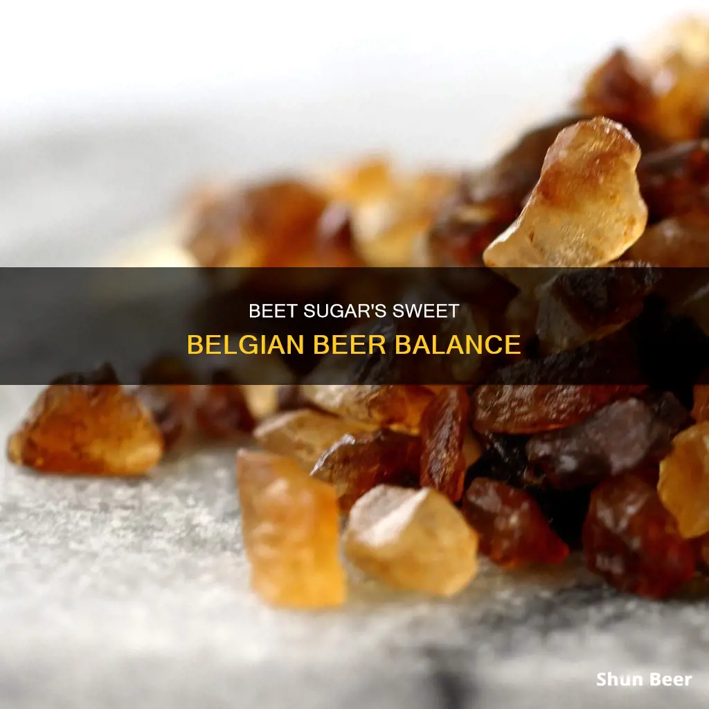 what is the point of beet sugar in belgian beer