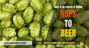 The Magic of Hops: Enhancing Beer's Flavor and Aroma