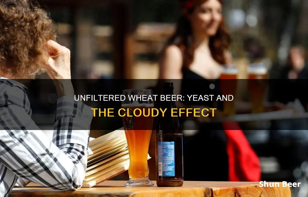 what is the settlement in a unfiltered wheat beer