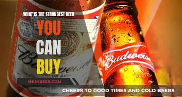 Exploring the Strongest Commercial Beers: A Guide