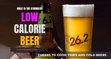 Best Low-Calorie Brews: Light but Mighty Beers