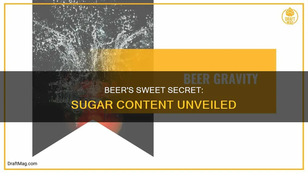 what is the sugar content for beer