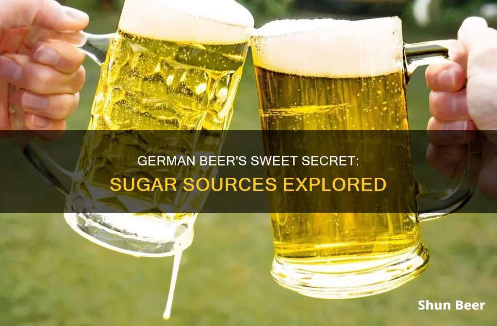 what is the sugar source foe german beer