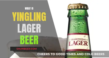 Uncover the Secrets of Yingling Lager: A Craft Beer Journey