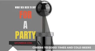 Keg Beer Buying Guide for Your Next Party