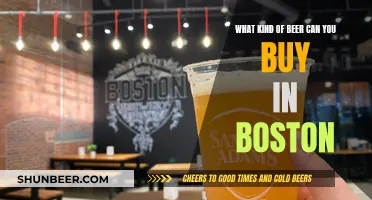 Boston Beer Buying Guide: Local Brews and Beyond