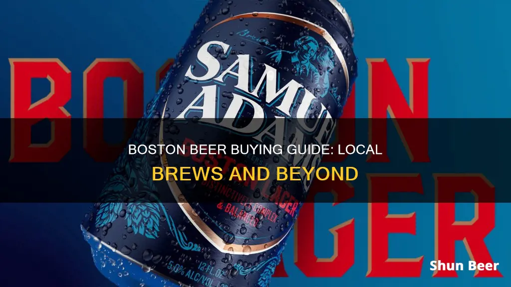 what kind of beer can you buy in boston