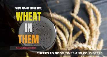 Wheat-Based Major Beers: A Comprehensive Guide