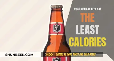 Best Low-Cal Mexican Beers: Taste Without the Guilt