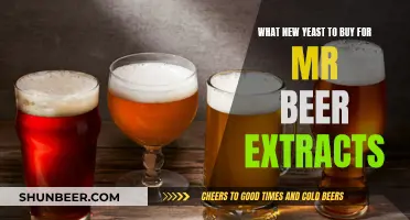 Best Yeast Types for Mr. Beer Extracts