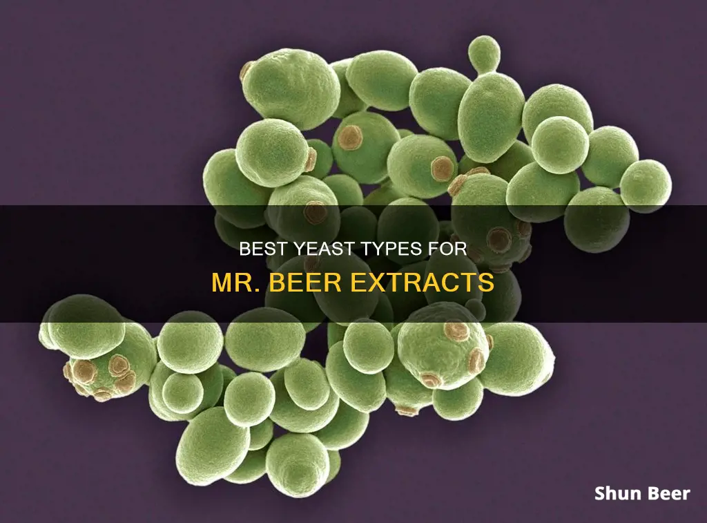 what new yeast to buy for mr beer extracts