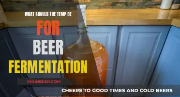 The Ideal Fermentation Temperature: Unlocking Beer's Potential