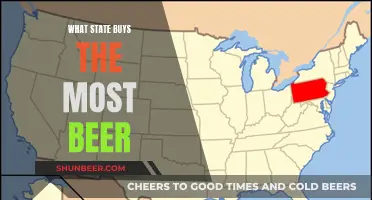 Which State Has the Highest Beer Sales?