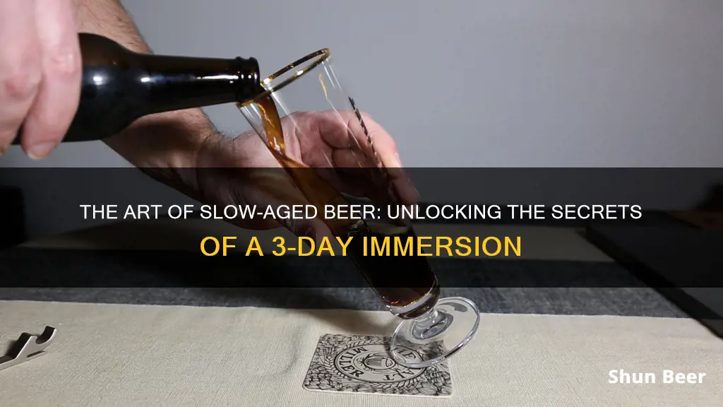 what style beer takes 3 days to fully imerse