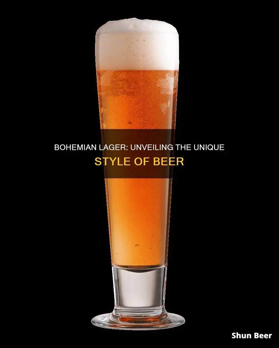 what style of beer is a bohemian lager