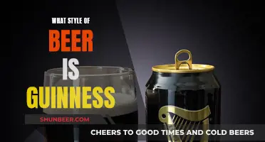 Guinness Beer: A Unique Irish Dry Stout Experience