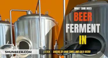 The Magic Fermenter: Unveiling the Tank for Beer's Second Life