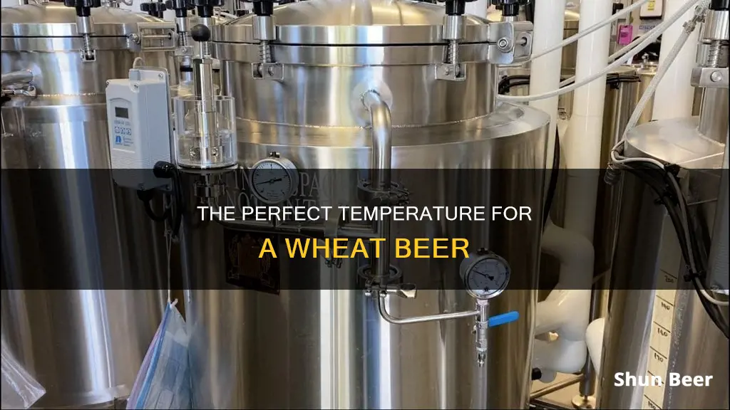 what temp should iash a wheat beer