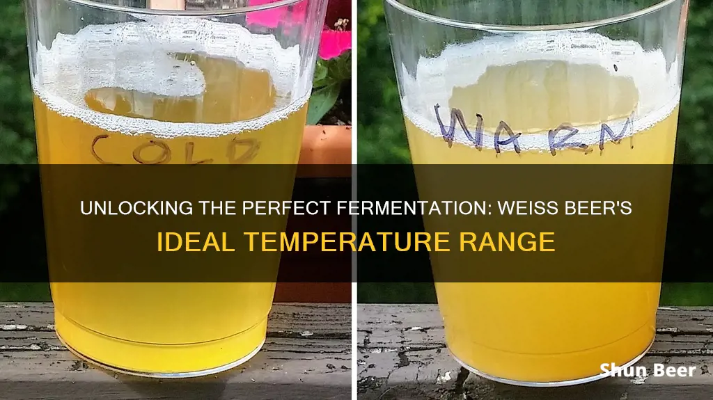 what temp to ferment a weiss beer